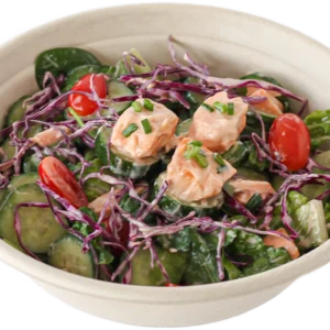 Spicy Salmon Salad